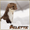 •BELETTE•