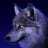 -black.wolf-