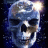 SpaceScull