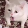 Emelyan