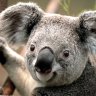 arturo09