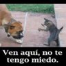 ¤¥ċÔŕÔŉėĻ¥¤