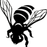 Chiklitzi