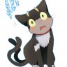 Turamy