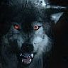 THEWOLFHUNTER