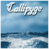 Callipyge