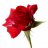 jean-claude08240