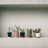 Wineuse043