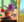maci.png