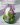 29571441_213138446111704_2319237601495112828_n (1).jpg