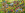 upload_2020-12-10_8-1-25.png