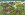 Farm.jpg