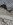 upload_2021-3-22_18-17-26.jpeg