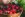 upload_2025-5-30_21-59-40.jpeg
