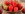 upload_2025-5-30_22-0-6.jpeg