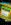 861a000f-94ce-48b2-9456-f5f1eac8c10c.jpeg