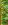 upload_2026-2-1_11-32-22.png