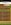 749652193_28044032798570416_1475975292413705062_n1.jpg