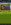 Screenshot_20260811_091749_Chrome.jpg
