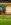 Screenshot_20260926_060637_Chrome.jpg