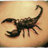 ScorpionTattooGirl