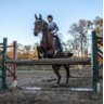 Hickstead