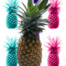 Shellock_dápineapple