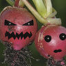 Miniretek