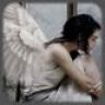 .angelsz.