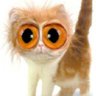Cornelius3
