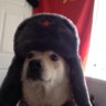 johnyh