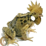 Bontottcsirke