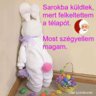 .szanett.