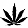FüvesLányka