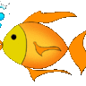 goldfish2