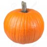 PumpkinGirl