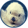 farmfarm0006