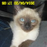 KATHY180781