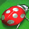 nagykati59