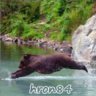 hron84