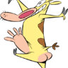 birotib