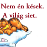 hóeke1