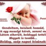 mutyika028