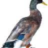 farmilona