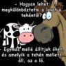 SuomiAnyWay