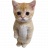 sztuby