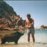 WILDBOAR1