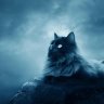 snowey