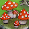 Kouwegrond