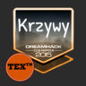 KrzywyTEX